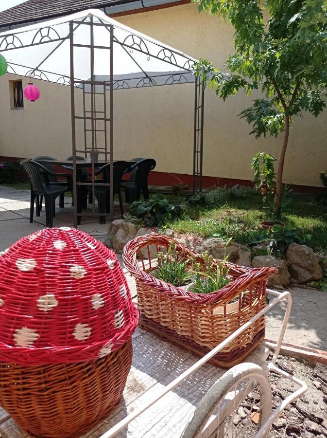 הוילה Sátoraljaújhely Borina Vendeghaz מראה חיצוני תמונה
